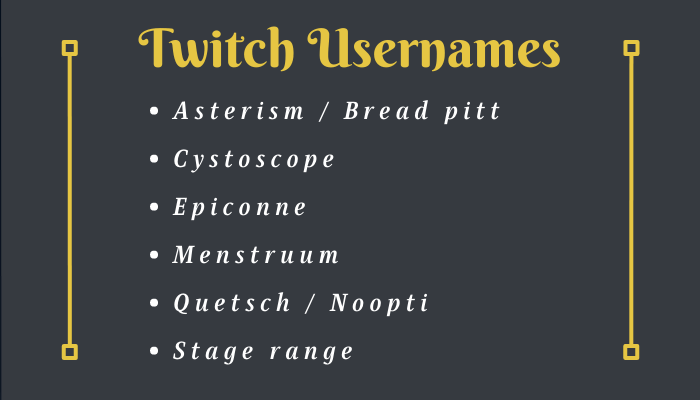 Unique Twitch Usernames