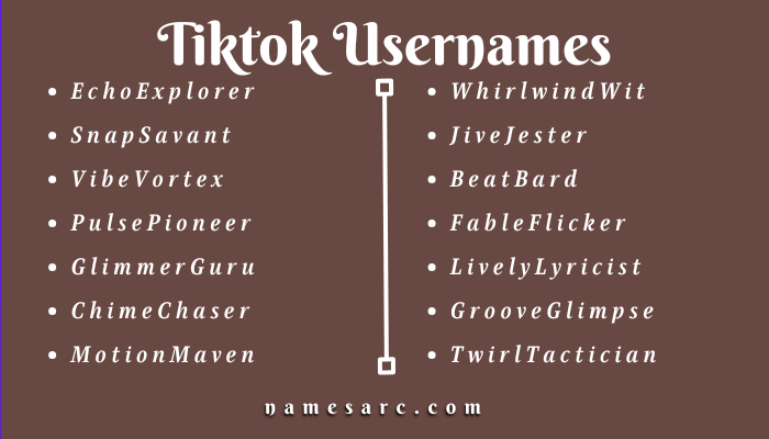 Cool Tiktok Usernames