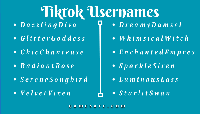 Unique Tiktok Usernames
